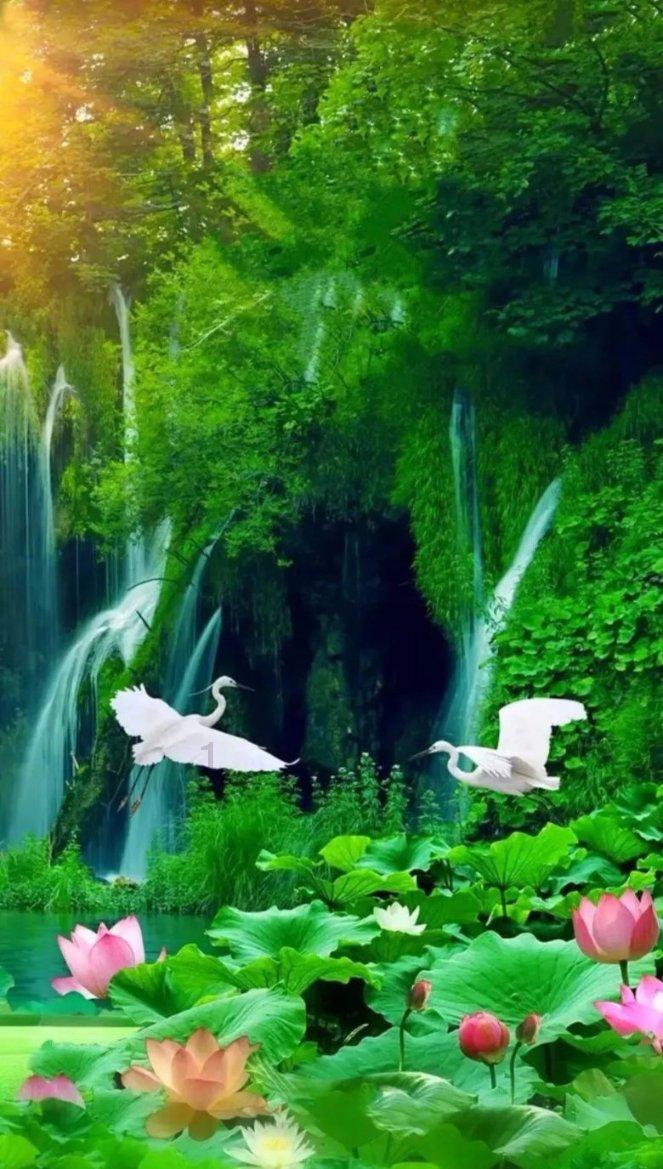 幽浮2