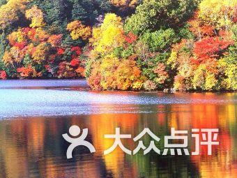 新春走基层 | “青年文明号”进社区 排隐患、广宣传，筑牢消防安全防线！