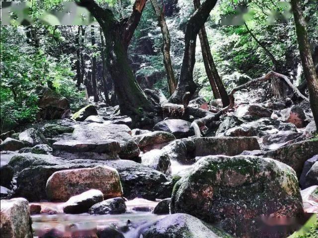老鹰逃生