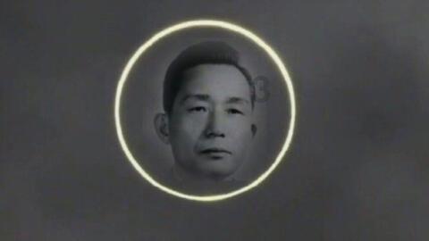逃离水虎鱼湖
