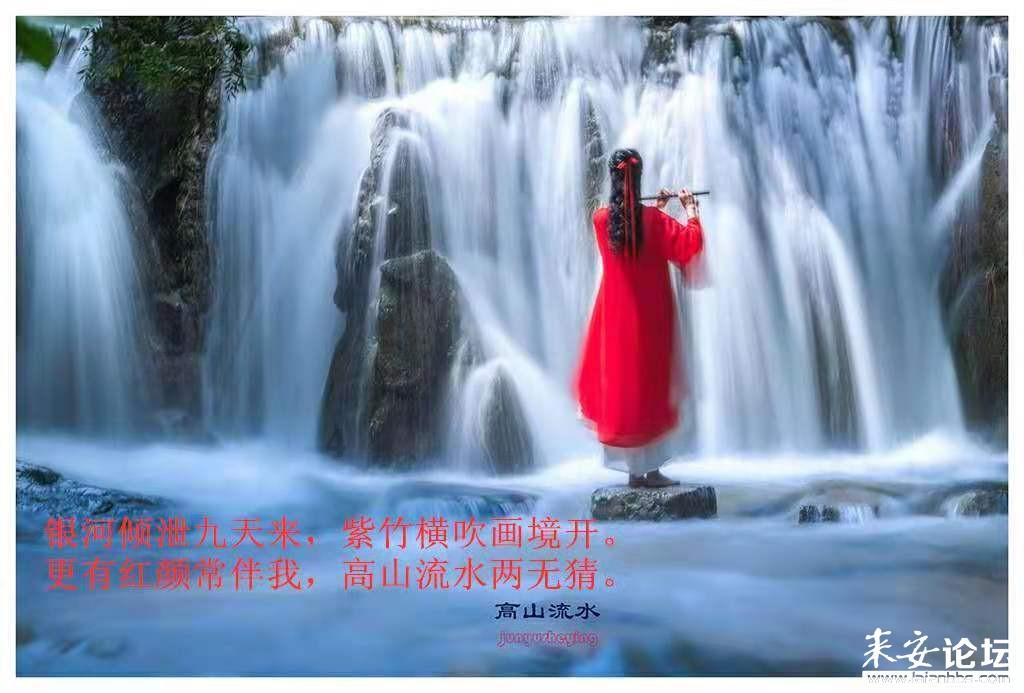 高级定制
