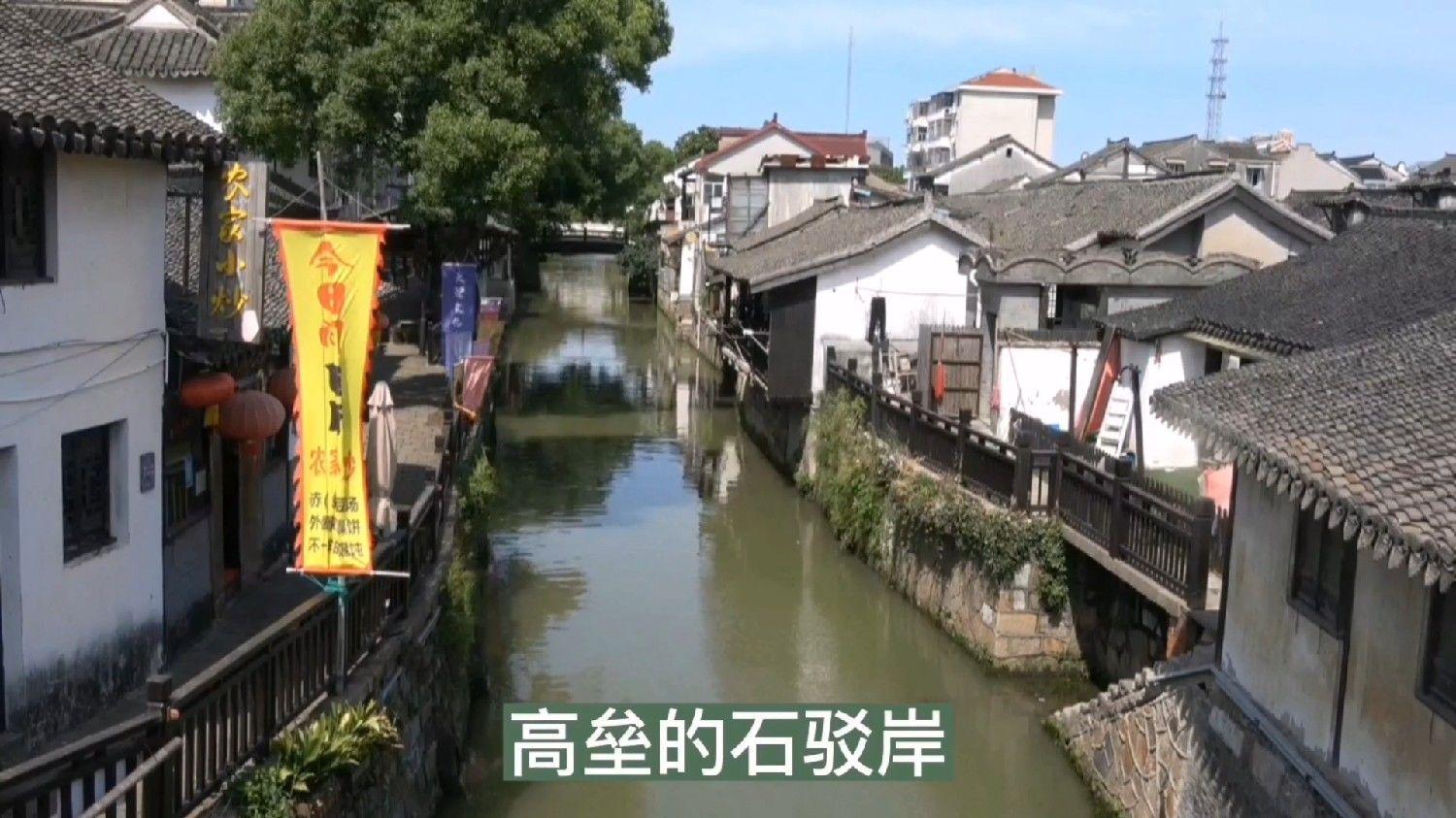 逃离鱼店